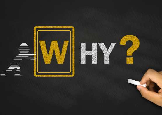 Conqurx Digital Marketing Agency